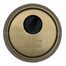 Tesa Assa Abloy archivos - Cerraduras, Bombines, Mirillas