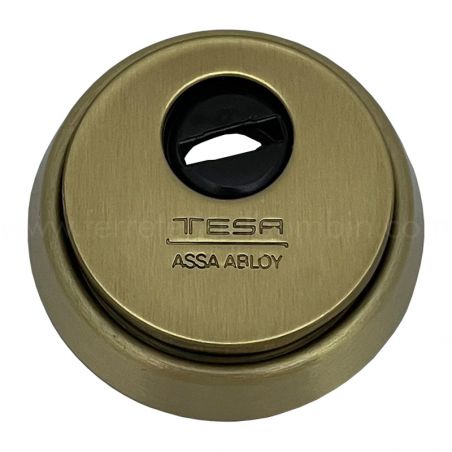 Escudo de seguridad TESA modelo E300L