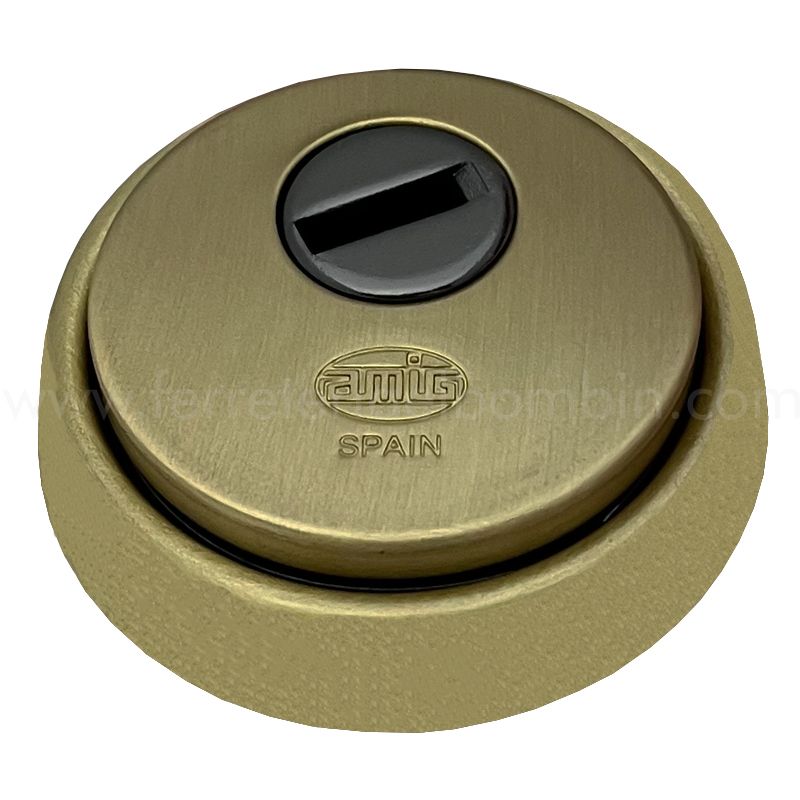 Amig - Escudo de seguridad para puerta, Latón, Cuerpo reforzado en acero  sinterizado, Antitaladro, Color latón - dorado